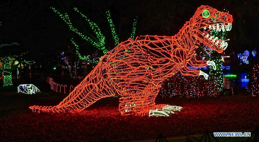 U.S.-NEW MEXICO-ALBUQUERQUE-RIVER OF LIGHTS