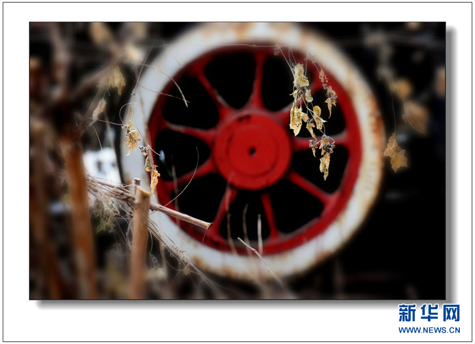 《遺世流年抹滄?！?>	</a></div>
</div>
<div   id=