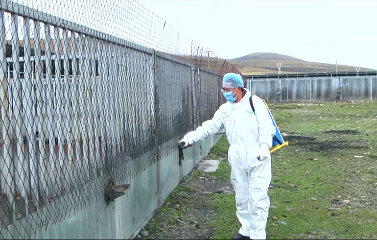 致敬偉大改革｜對話40年，講述身邊的健康故事（第二十一集）&mdash;&mdash;送瘟神