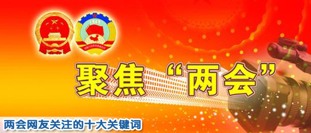 兩會網友關注議題調查:社會保障居首 反腐次之