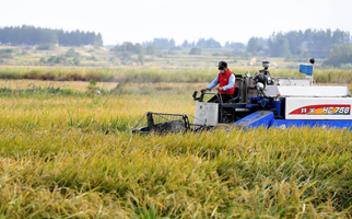 40年，小崗人的18個&ldquo;第一次&rdquo;