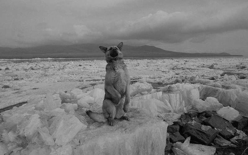 線云強作品:東方第一哨，最早迎接太陽的士兵