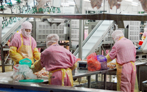 采訪(fǎng)團(tuán)赴僑企正大(青島)有限公司采訪(fǎng)