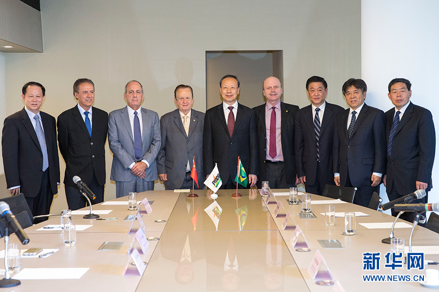 7月11日，在巴西首都巴西利亞，中共中央書記處書記、全國政協副主席杜青林（中）會見巴西民主運動黨總書記毛羅&middot;洛佩斯（左四）。新華社記者李明攝