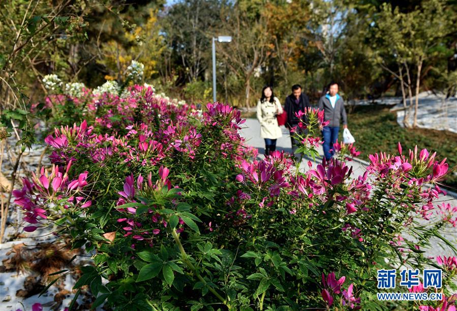 （圖文互動）（1）藍天白云講述北京新時代新故事&mdash;&mdash;北京站上新時代發展新起點