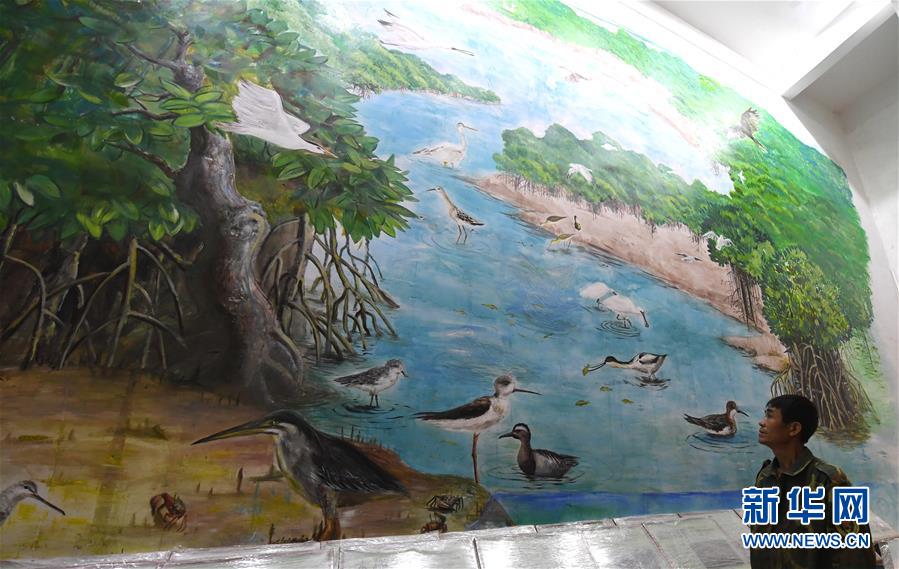 （圖文互動）（5）十年樹木、紅樹成林&mdash;&mdash;&ldquo;海上森林&rdquo;回歸記