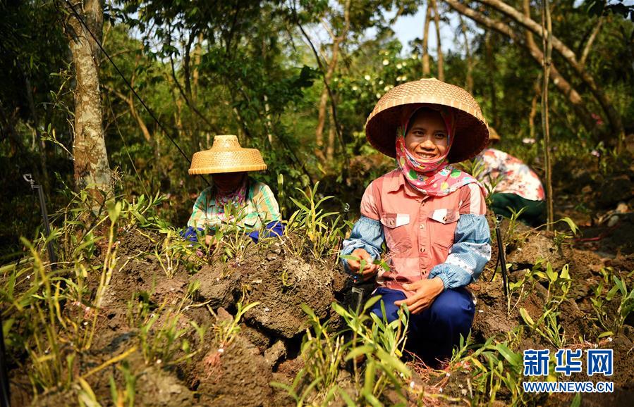 （新媒體專線）（6）立足獨特優(yōu)勢 勇立改革潮頭&mdash;&mdash;習(xí)近平總書記在海南考察回訪記