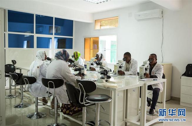 （新華全媒頭條&middot;世界防治瘧疾日&middot;圖文互動）（2）&ldquo;月亮之國&rdquo;的驅魔人&mdash;&mdash;記非洲抗瘧戰場上的廣東團隊