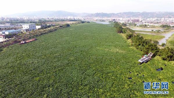 （圖文互動）（1）&ldquo;白練&rdquo;變&ldquo;黑龍&rdquo;，江河變&ldquo;草原&rdquo;－－粵東母親河為何污染20多年難治理？