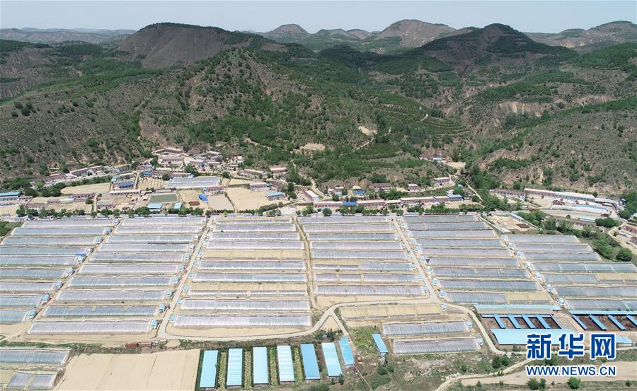 （壯闊東方潮 奮進(jìn)新時(shí)代&mdash;&mdash;慶祝改革開放40年）（7）退耕還林20年 延安大地譜新篇