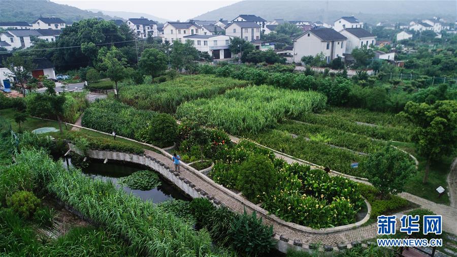 （在習近平新時代中國特色社會主義思想指引下&mdash;&mdash;新時代新作為新篇章&middot;圖文互動）（1）稀奇！治污濕地成了休閑公園&mdash;&mdash;江蘇蘇州全域推進農村生活污水治理
