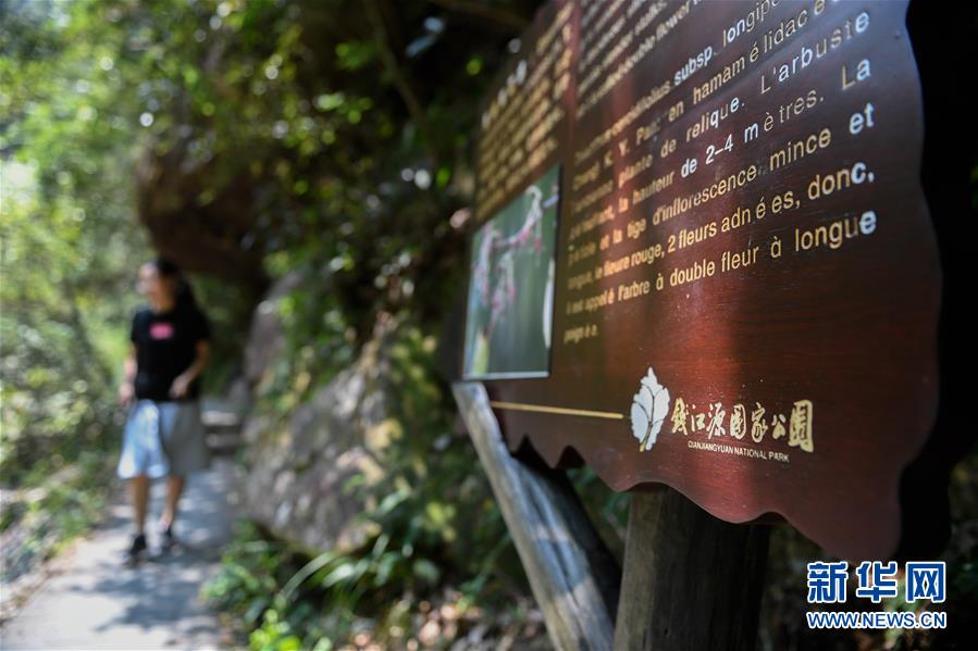 （環境）（2）走進錢江源國家公園體制試點區