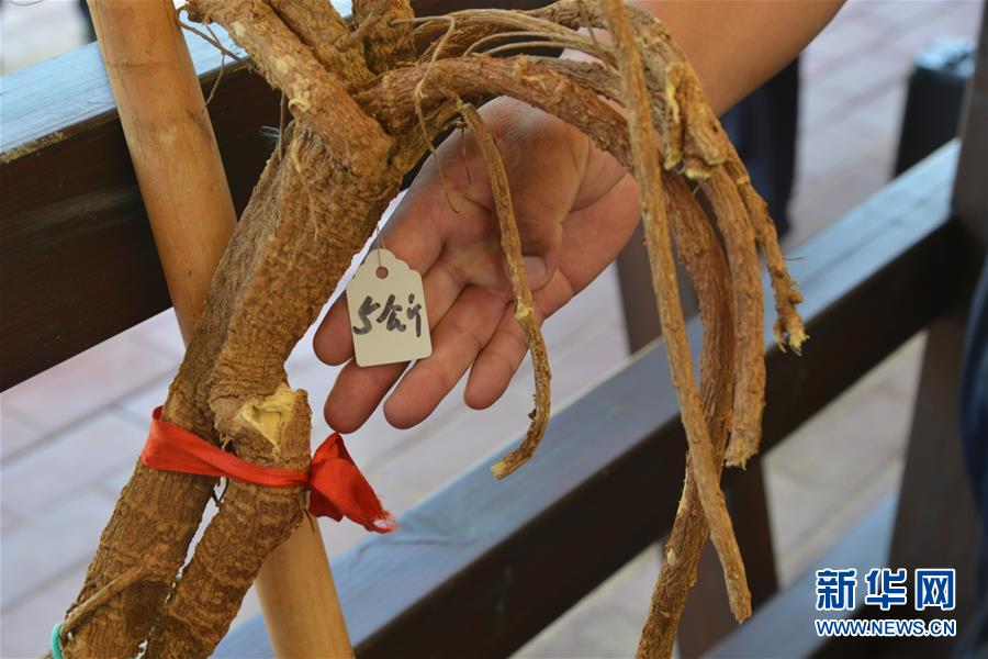 （在習近平新時代中國特色社會主義思想指引下&mdash;&mdash;新時代新作為新篇章&middot;圖文互動）（2）庫布其競相演繹&ldquo;點沙成金&rdquo;傳奇