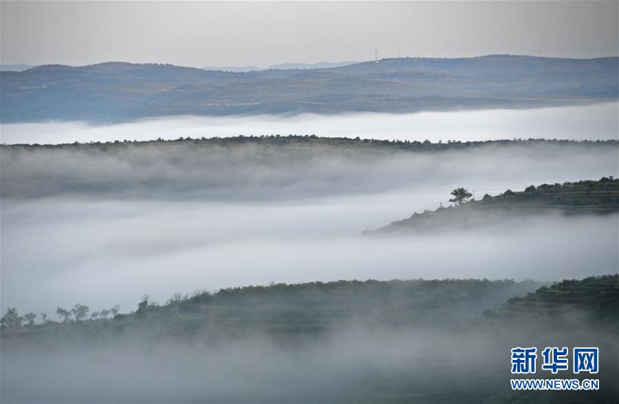 （新華全媒頭條&middot;圖文互動）（12）中國扶貧的西海固答卷&mdash;&mdash;寧夏奮進60年巡禮之脫貧攻堅篇