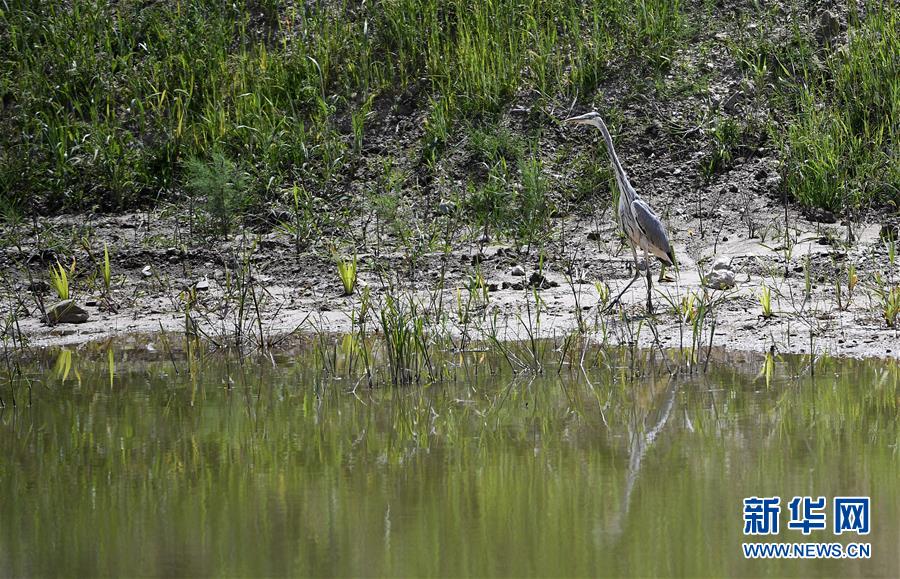 （新華全媒頭條&middot;圖文互動）（10）中國扶貧的西海固答卷&mdash;&mdash;寧夏奮進60年巡禮之脫貧攻堅篇