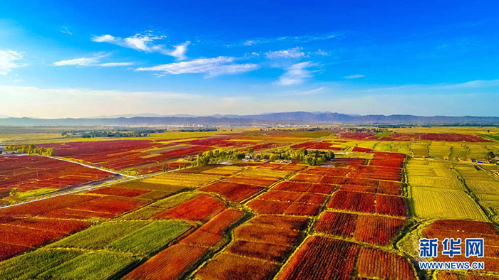 秋收的中國，你想象不到的美！但更美的是&hellip;&hellip;