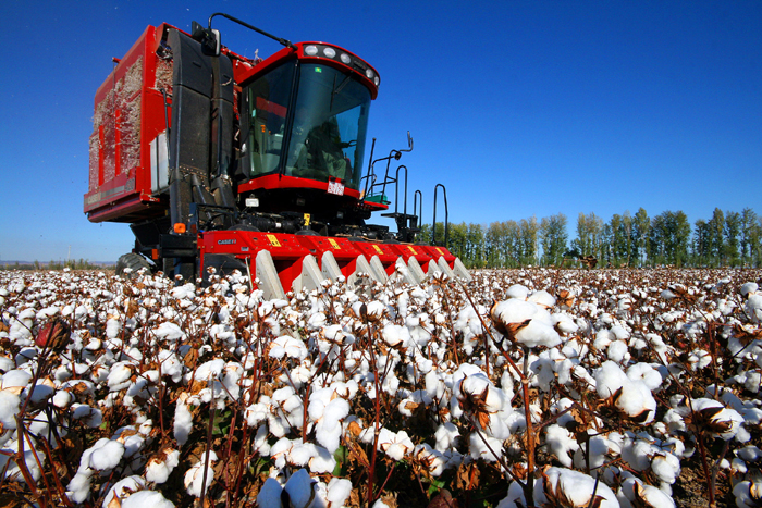 秋收的中國，你想象不到的美！但更美的是&hellip;&hellip;