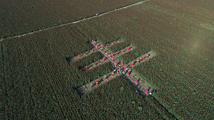 秋收的中國，你想象不到的美！但更美的是&hellip;&hellip;