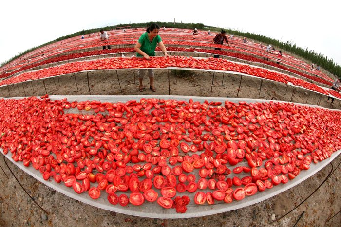 秋收的中國，你想象不到的美！但更美的是&hellip;&hellip;
