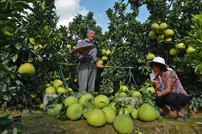 秋收的中國，你想象不到的美！但更美的是&hellip;&hellip;