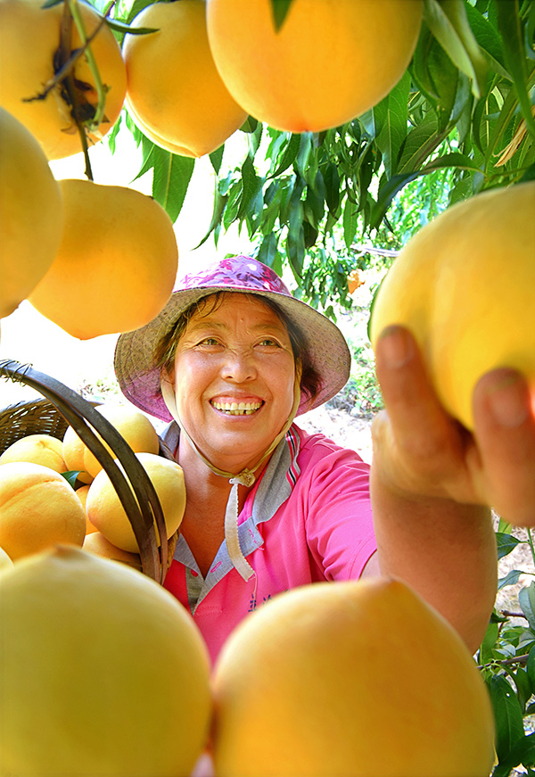 秋收的中國，你想象不到的美！但更美的是&hellip;&hellip;