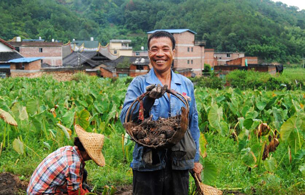 秋收的中國，你想象不到的美！但更美的是&hellip;&hellip;