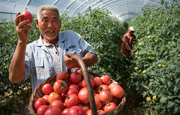 秋收的中國，你想象不到的美！但更美的是&hellip;&hellip;