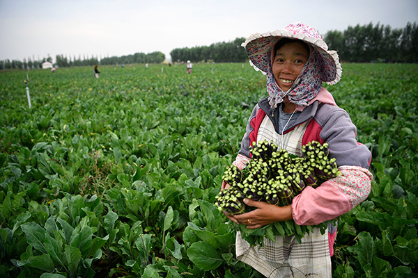 秋收的中國，你想象不到的美！但更美的是&hellip;&hellip;