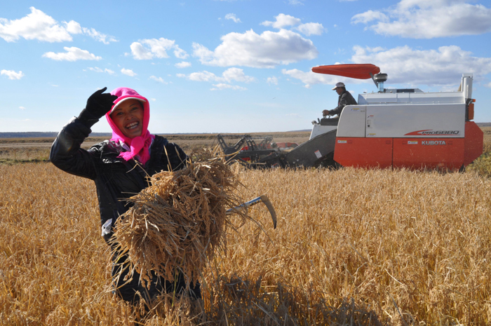 秋收的中國，你想象不到的美！但更美的是&hellip;&hellip;