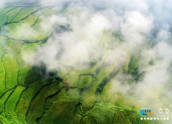 秋收的中國，你想象不到的美！但更美的是&hellip;&hellip;