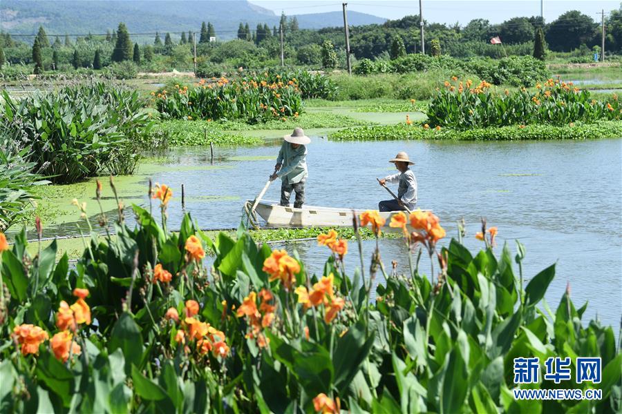 （新華全媒頭條&middot;聚焦鄉村振興戰略規劃&middot;圖文互動）（14）推進鄉村振興的行動指南&mdash;&mdash;解讀鄉村振興戰略首個五年規劃亮點