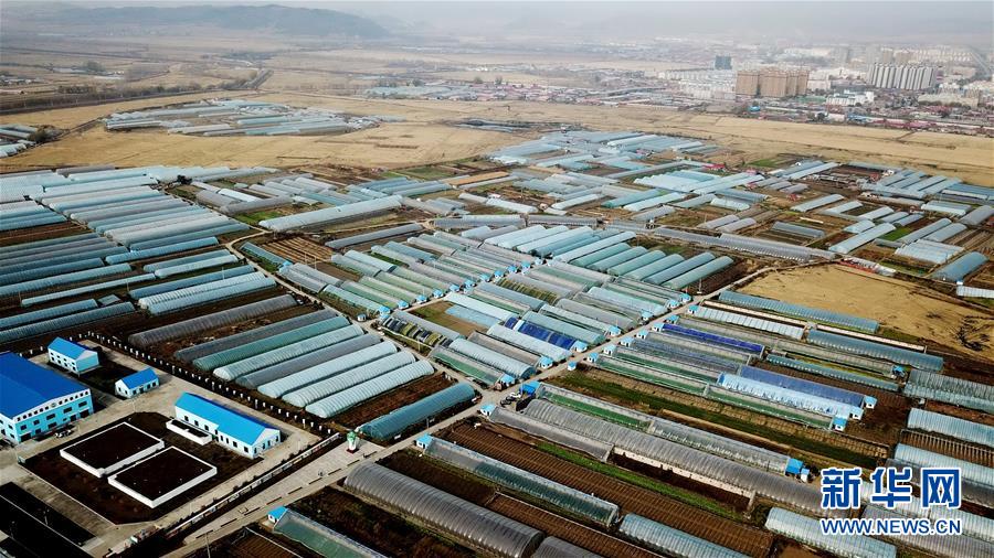 （百城百縣百企調(diào)研行&middot;圖文互動(dòng)）（1）瞧瞧這些村咋富起來的&mdash;&mdash;黑龍江省牡丹江市發(fā)展特色精品農(nóng)業(yè)促農(nóng)增收