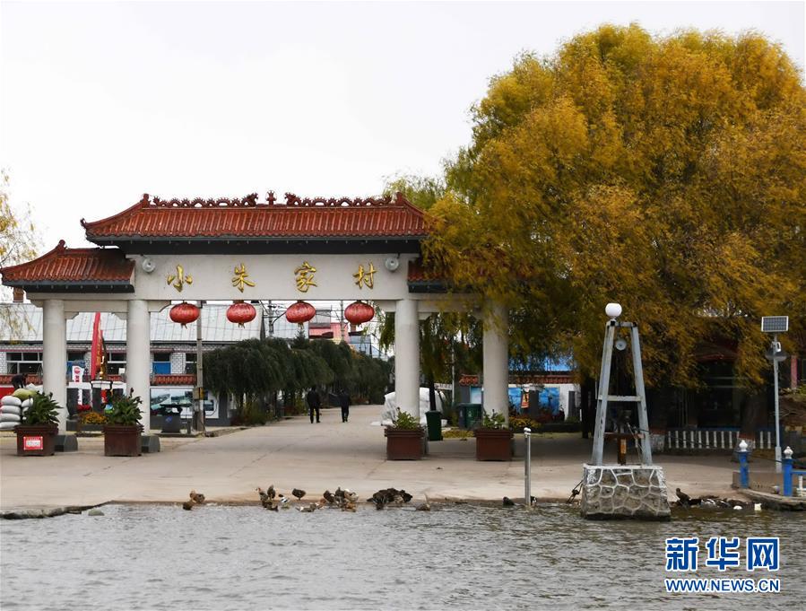 （百城百縣百企調(diào)研行&middot;圖文互動(dòng)）（4）瞧瞧這些村咋富起來的&mdash;&mdash;黑龍江省牡丹江市發(fā)展特色精品農(nóng)業(yè)促農(nóng)增收