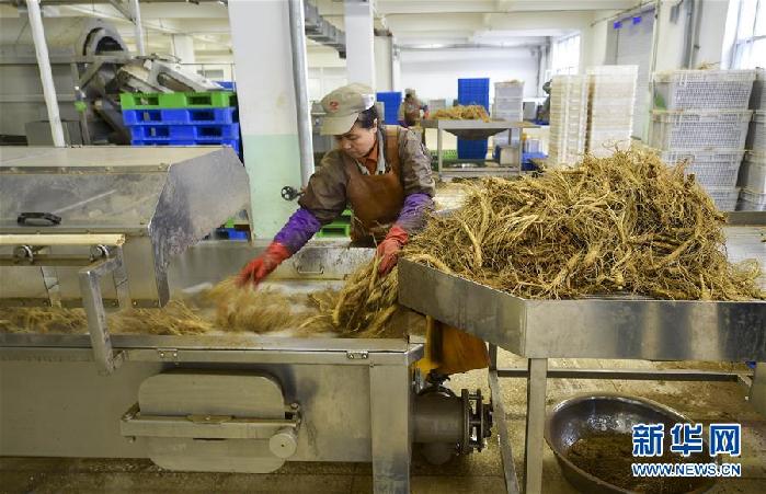 （百城百縣百企調研行&middot;圖文互動）（5）吉林集安：邊陲&ldquo;綠色明珠&rdquo;為何如此閃亮？