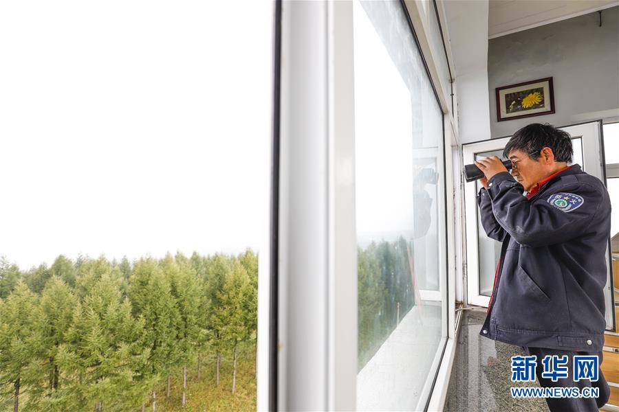 （新華全媒頭條&middot;圖文互動）（3）那一抹綠色，走進越來越多人心里&mdash;&mdash;河北塞罕壩續寫新時代綠色傳奇