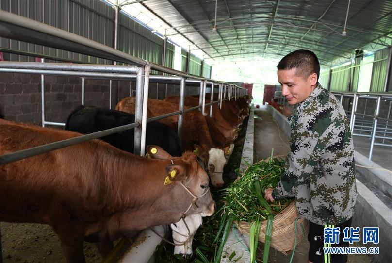 （輝煌60年&middot;壯美新廣西&middot;圖文互動(dòng)）（7）奮力書寫壯鄉(xiāng)反貧困歷史新篇章&mdash;&mdash;廣西干部群眾接續(xù)奮斗脫貧攻堅(jiān)觀察