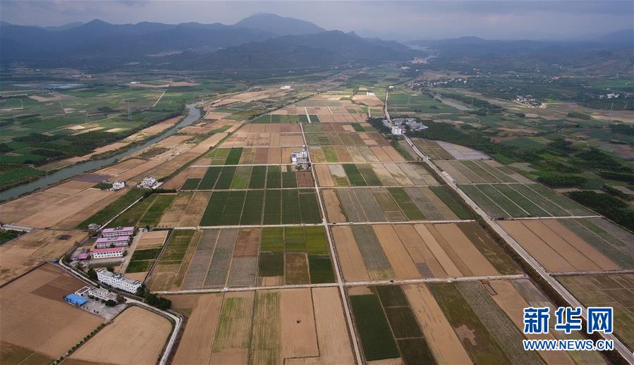 （百城百縣百企調(diào)研行&middot;圖文互動(dòng)）（1）海南農(nóng)墾：農(nóng)業(yè)&ldquo;國家隊(duì)&rdquo;打贏改革&ldquo;翻身仗&rdquo;