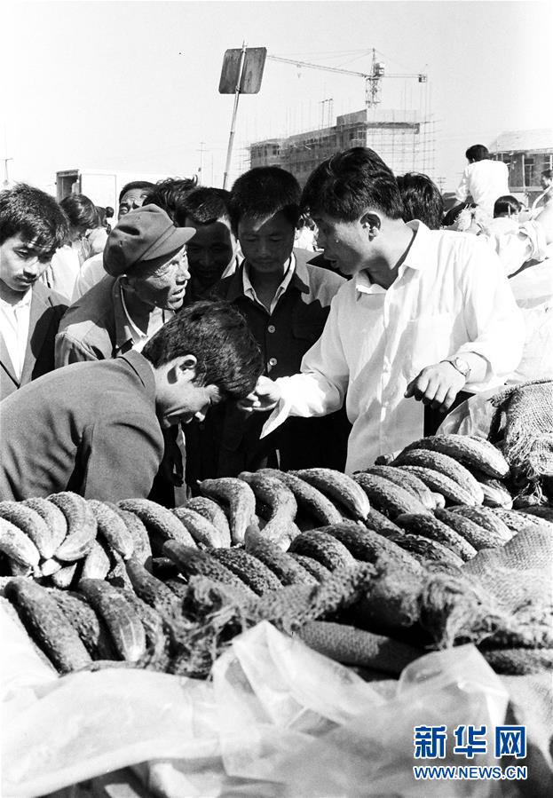 （改革先鋒風采&middot;圖文互動）（3）王伯祥：山東壽光蔬菜產業的推動者 