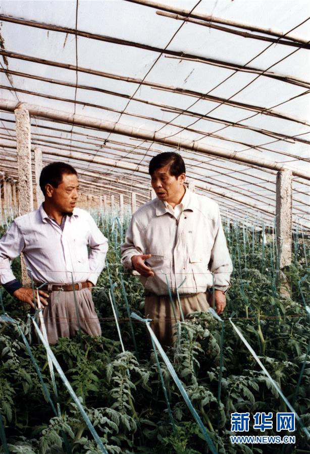 （改革先鋒風采&middot;圖文互動）（1）王伯祥：山東壽光蔬菜產業的推動者 