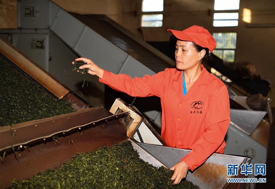 （兩會&middot;基層代表履職故事）（7）全國人大代表符小琴：讓家鄉在改革開放中發展得更好