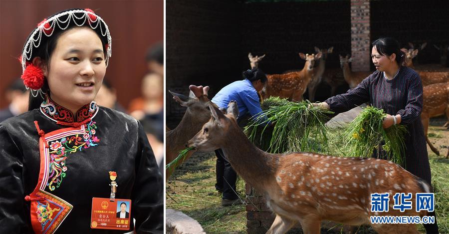 （兩會&middot;影像鏈接）全國人大代表雷金玉：努力吸引人才 推動鄉村振興