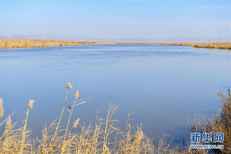 （在習(xí)近平新時(shí)代中國特色社會主義思想指引下&mdash;&mdash;新時(shí)代新作為新篇章&middot;圖文互動）（1）打響綠色品牌 &ldquo;四控&rdquo;治污增效&mdash;&mdash;內(nèi)蒙古巴彥淖爾探索農(nóng)業(yè)高質(zhì)量發(fā)展