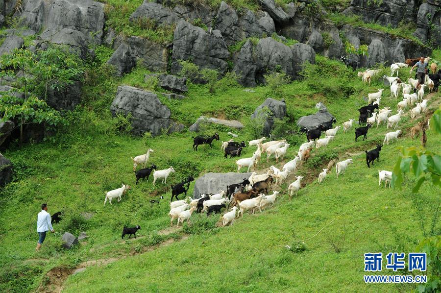 （兩會前夕看落實&middot;圖文互動）（2）決戰(zhàn)脫貧攻堅 奮力后發(fā)趕超&mdash;&mdash;貴州落實習(xí)近平總書記全國兩會重要講話精神紀(jì)實