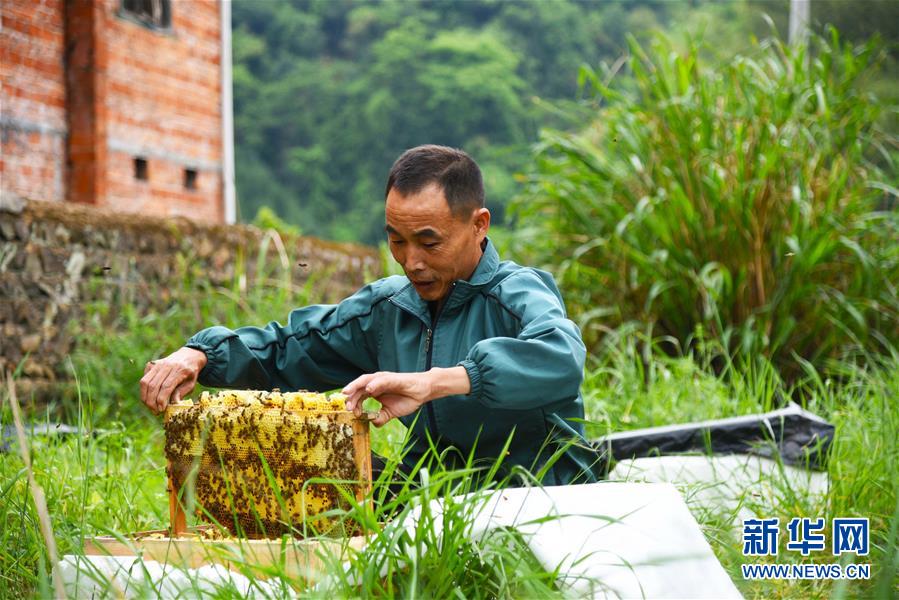 （兩會前夕看落實&middot;圖文互動）（7）奮力脫貧攻堅 生態追&ldquo;清&rdquo;逐&ldquo;綠&rdquo;&mdash;&mdash;江西落實習近平總書記全國兩會重要講話精神紀實