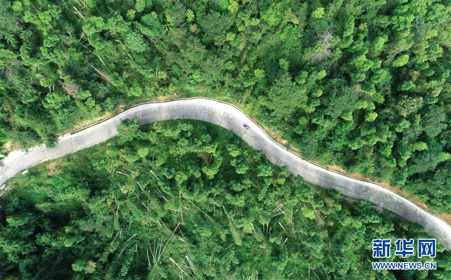 （中國網(wǎng)事&middot;感動2019&middot;圖文互動）（7）鄉(xiāng)村教師高自仁：60多根拐杖，撐起42年教學路