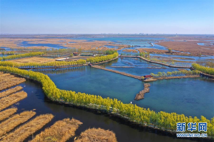 (新華全媒頭條·圖文互動)(5)奮進,向著未來之城!——河北雄安新區建設發展兩周年紀實