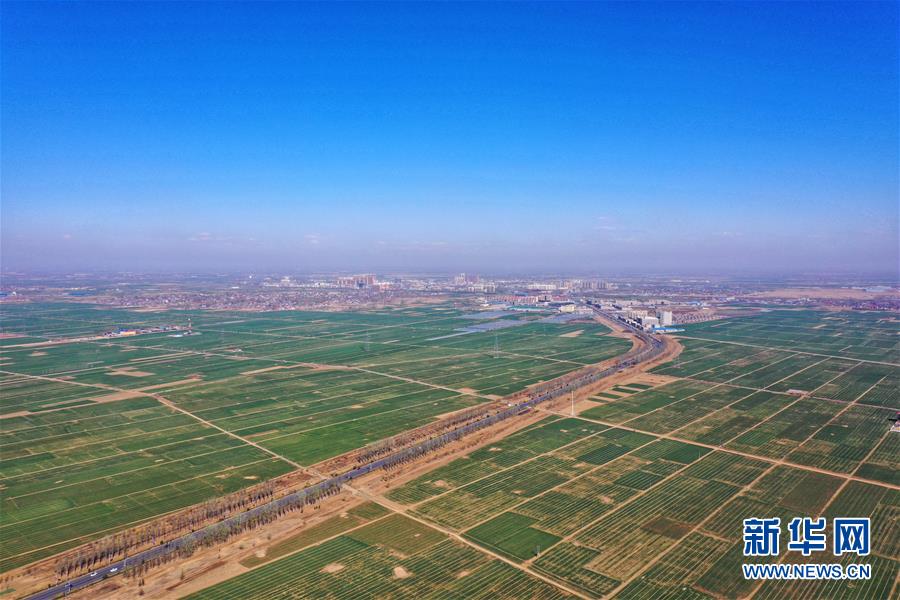 (新華全媒頭條·圖文互動)(6)奮進,向著未來之城!——河北雄安新區建設發展兩周年紀實