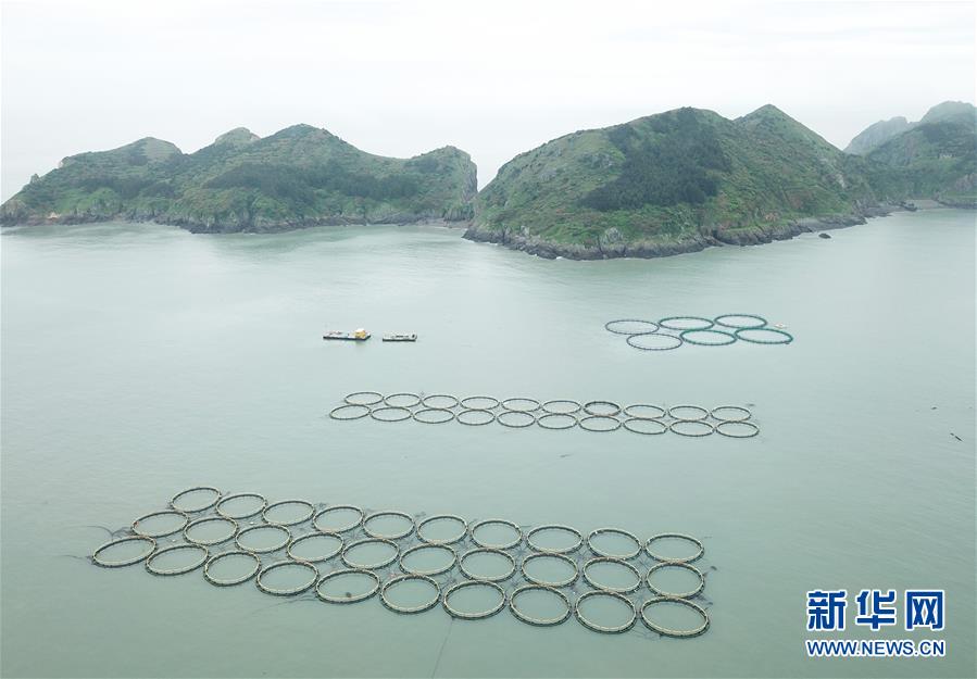 (壯麗70年·奮斗新時(shí)代·圖文互動)(2)“東海明珠”挺立一座“精神燈塔”——追尋浙江臺州大陳島墾荒精神