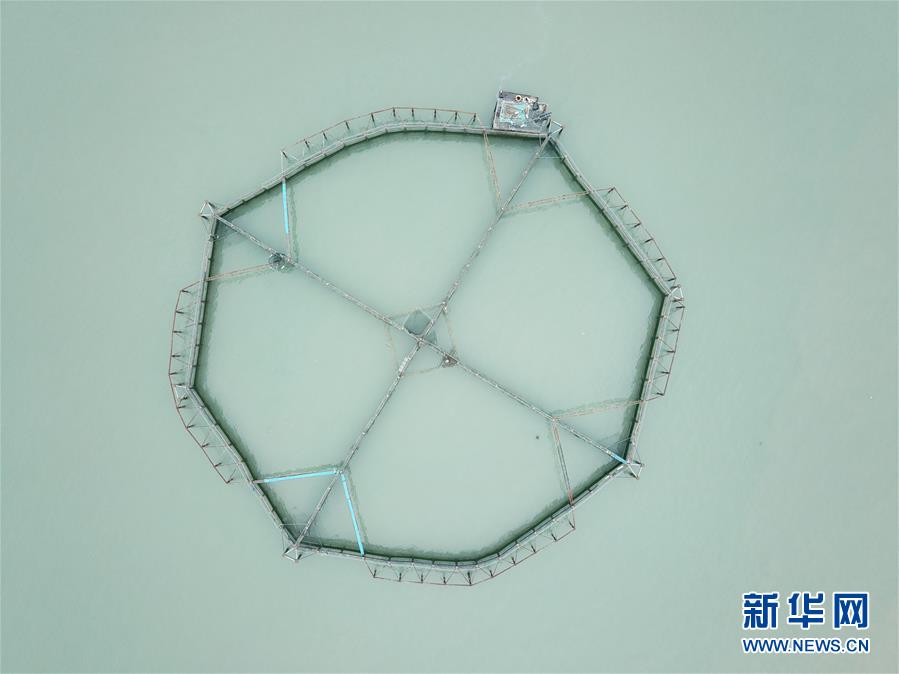 (壯麗70年·奮斗新時(shí)代·圖文互動)(5)“東海明珠”挺立一座“精神燈塔”——追尋浙江臺州大陳島墾荒精神