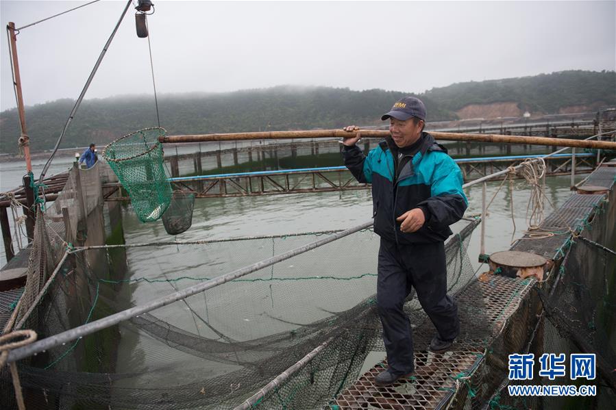(壯麗70年·奮斗新時(shí)代·圖文互動)(6)“東海明珠”挺立一座“精神燈塔”——追尋浙江臺州大陳島墾荒精神